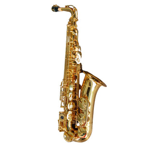 HOFFER Saxofón Alto estudiante HAS100 - Hoffer - Vientos